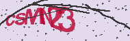 Captcha認証コード
